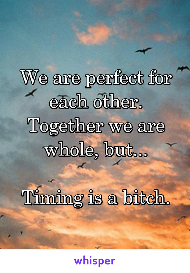 We are perfect for each other. Together we are whole, but...

Timing is a bitch.