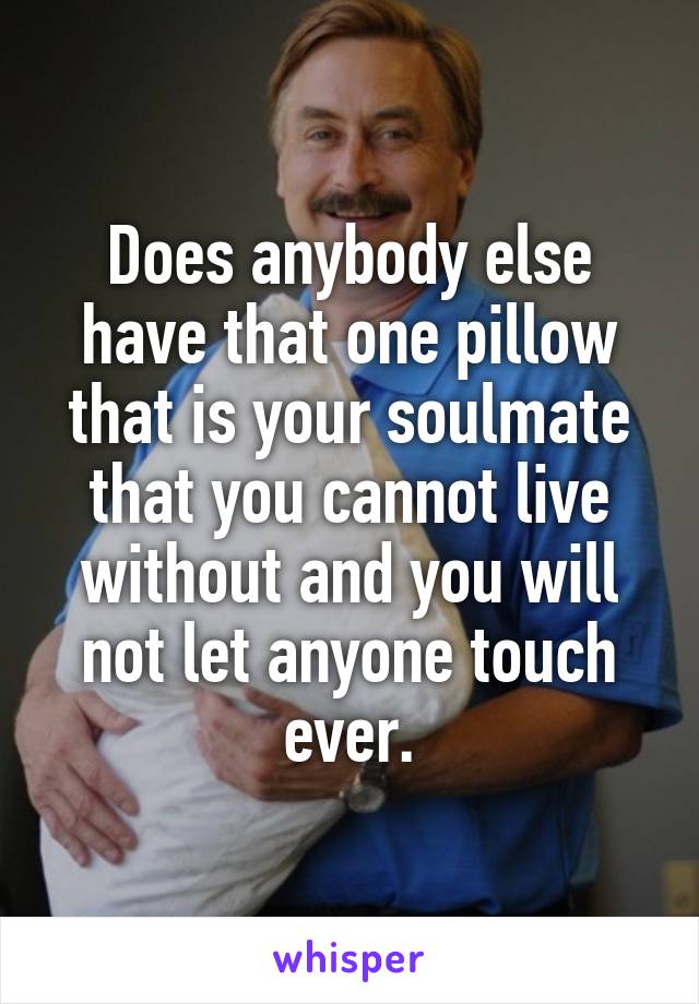 Does anybody else have that one pillow that is your soulmate that you cannot live without and you will not let anyone touch ever.