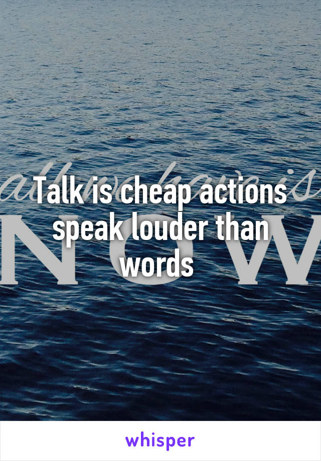 Talk is cheap actions speak louder than words 