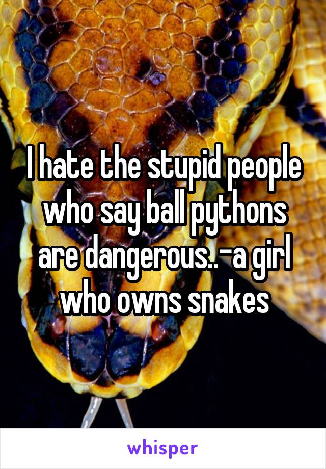 I hate the stupid people who say ball pythons are dangerous..-a girl who owns snakes
