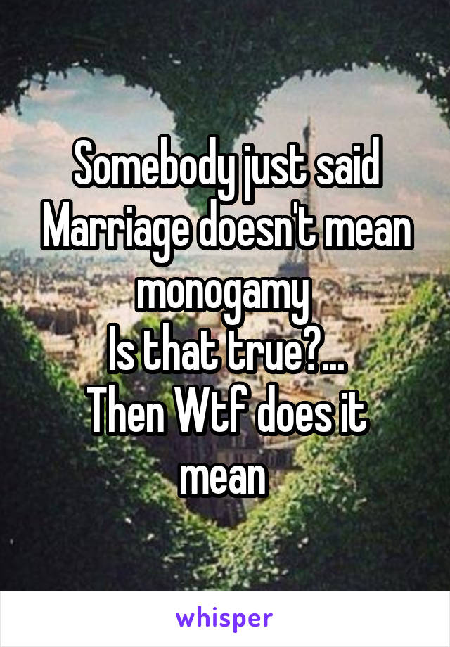Somebody just said
Marriage doesn't mean monogamy 
Is that true?...
Then Wtf does it mean 