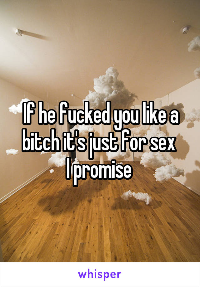 If he fucked you like a bitch it's just for sex 
I promise 