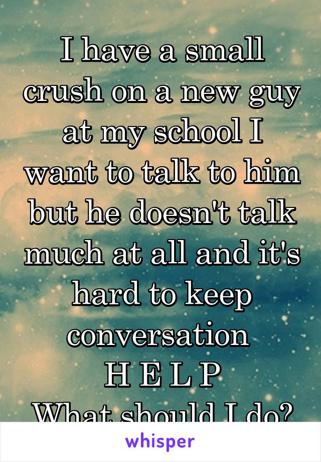 I have a small crush on a new guy at my school I want to talk to him but he doesn't talk much at all and it's hard to keep conversation 
H E L P
What should I do?