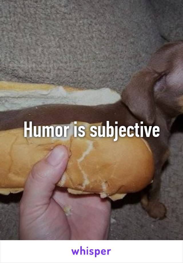 Humor is subjective