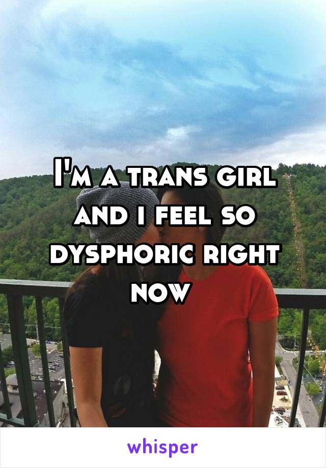 I'm a trans girl and i feel so dysphoric right now 