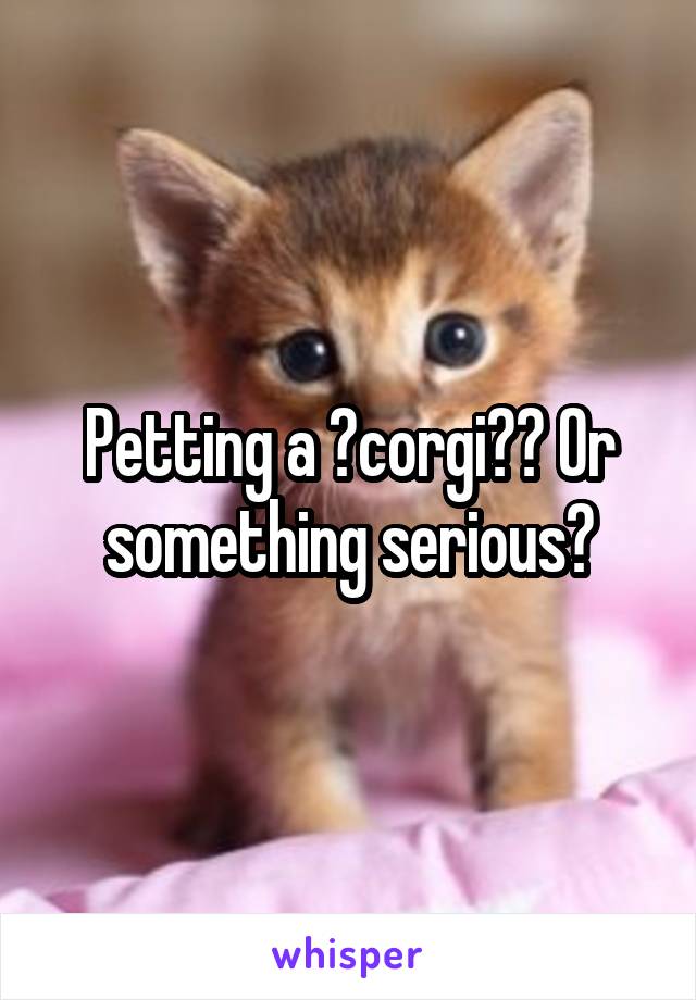 Petting a ?corgi?? Or something serious?