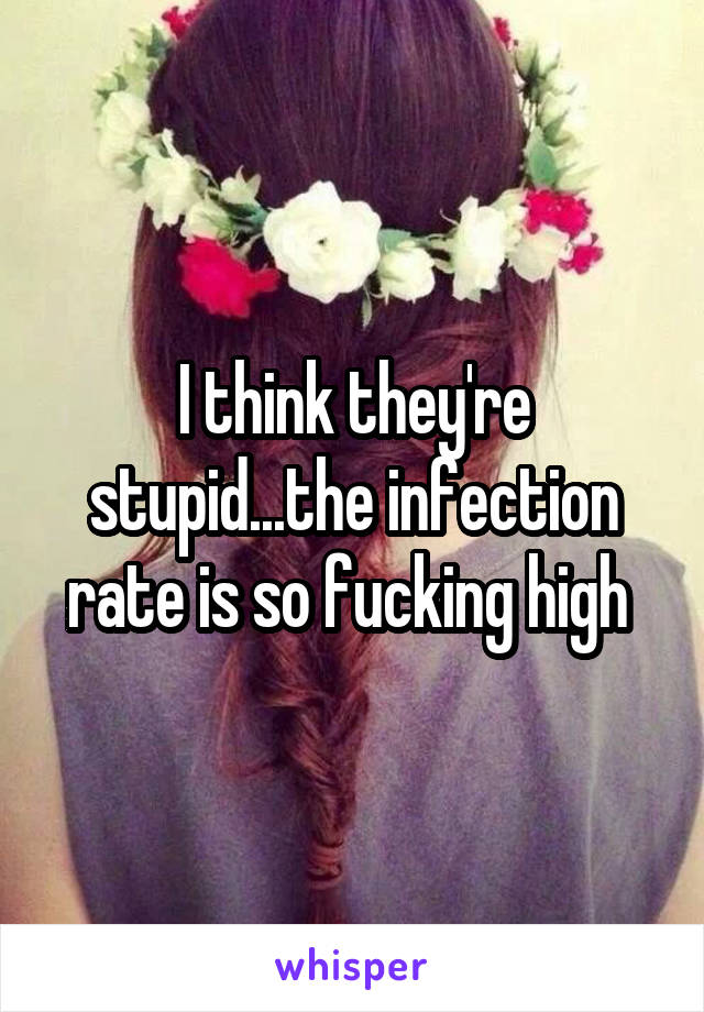 I think they're stupid...the infection rate is so fucking high 