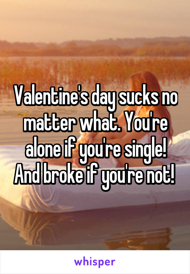 Valentine's day sucks no matter what. You're alone if you're single! And broke if you're not! 