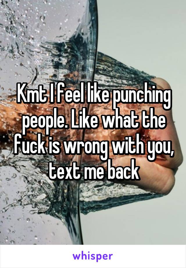 Kmt I feel like punching people. Like what the fuck is wrong with you, text me back