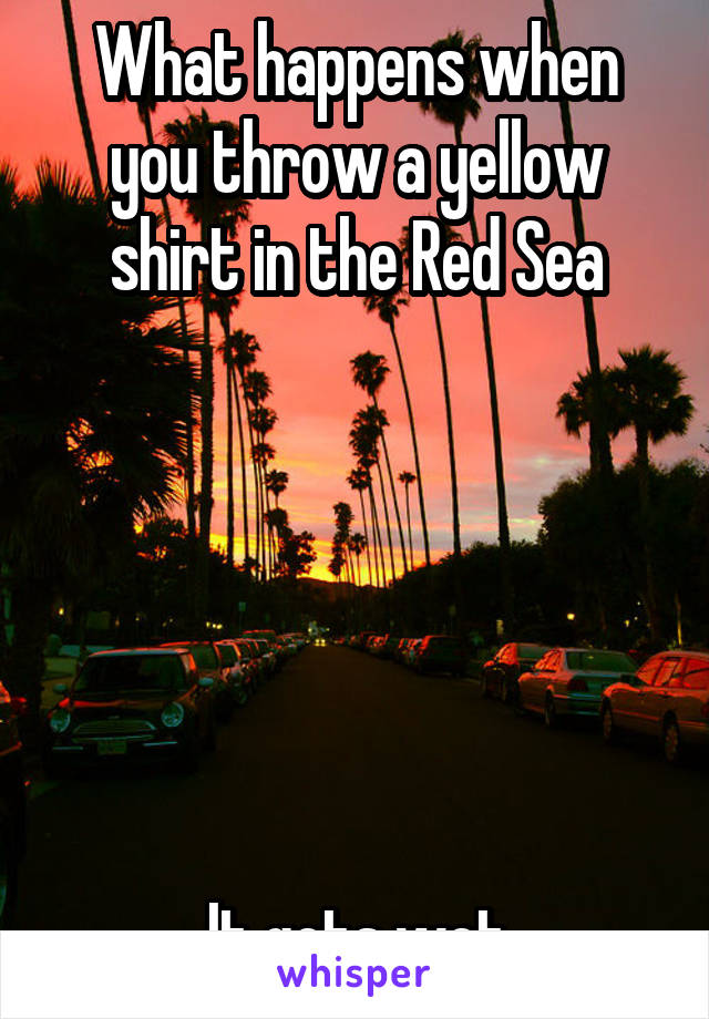 What happens when you throw a yellow shirt in the Red Sea






It gets wet