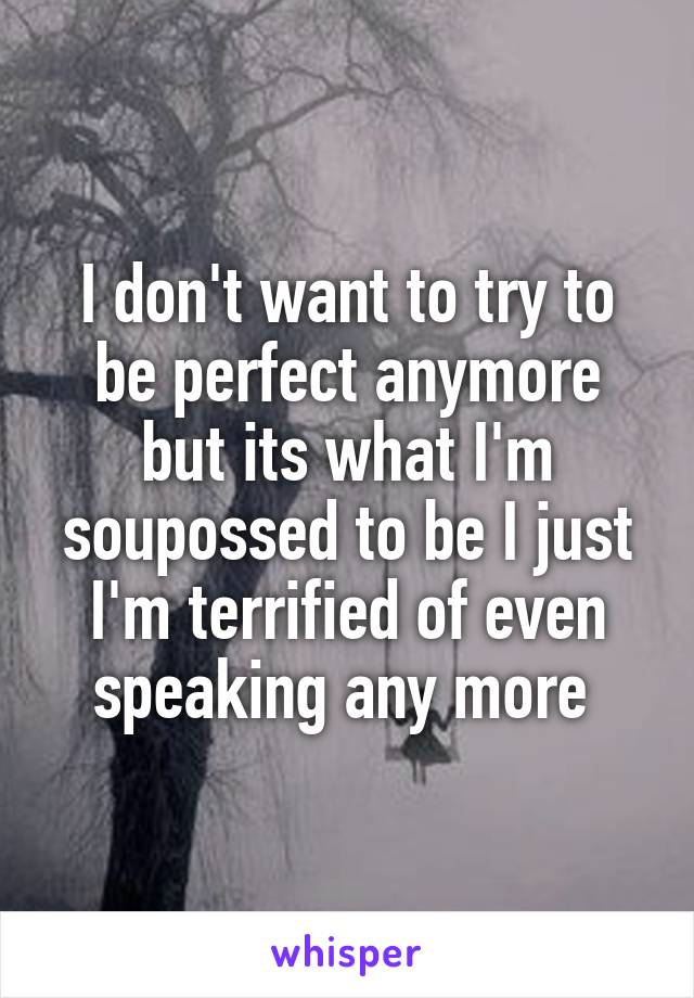 I don't want to try to be perfect anymore but its what I'm soupossed to be I just I'm terrified of even speaking any more 