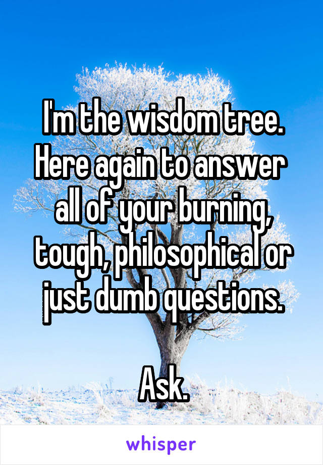 
I'm the wisdom tree. Here again to answer 
all of your burning, tough, philosophical or just dumb questions.

Ask.