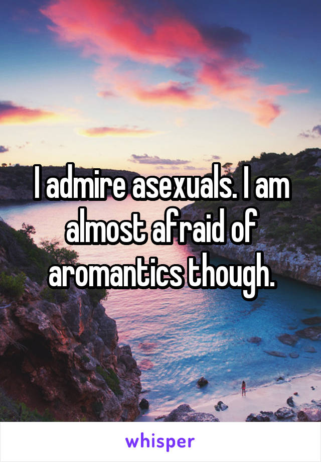 I admire asexuals. I am almost afraid of aromantics though.