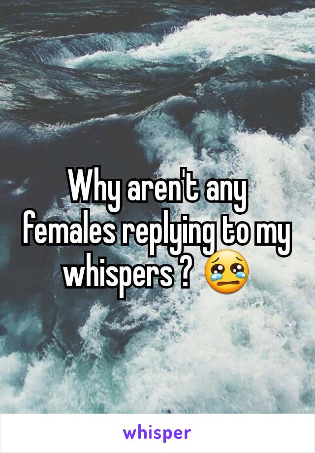 Why aren't any females replying to my whispers ? 😢