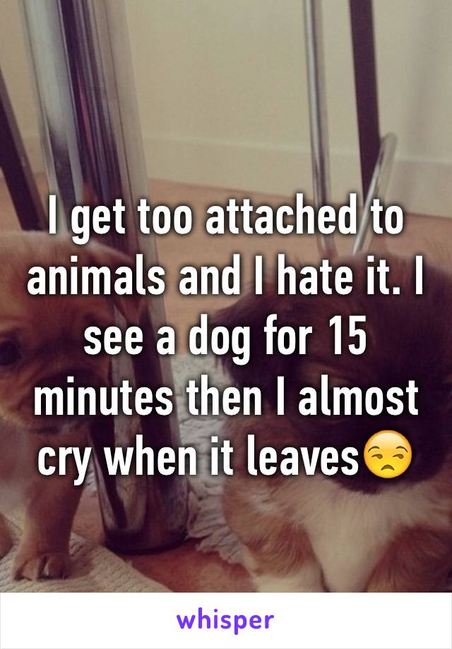 I get too attached to animals and I hate it. I see a dog for 15 minutes then I almost cry when it leaves😒