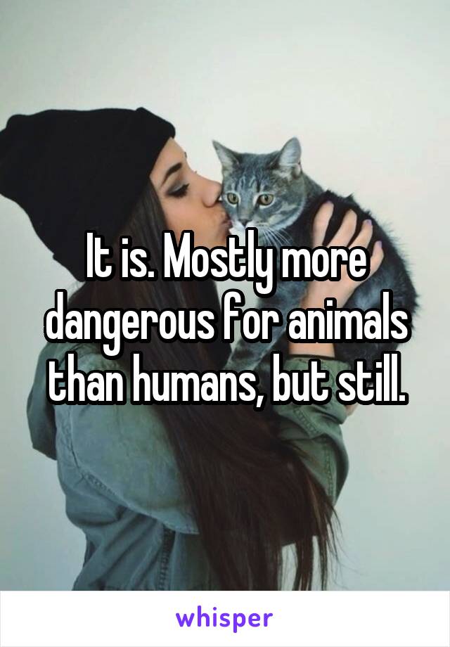 It is. Mostly more dangerous for animals than humans, but still.