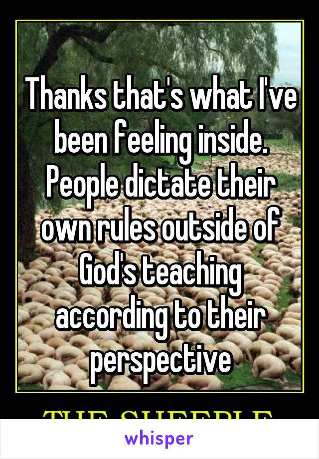 Thanks that's what I've been feeling inside. People dictate their own rules outside of God's teaching according to their perspective