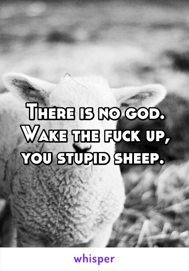 There is no god. Wake the fuck up, you stupid sheep. 
