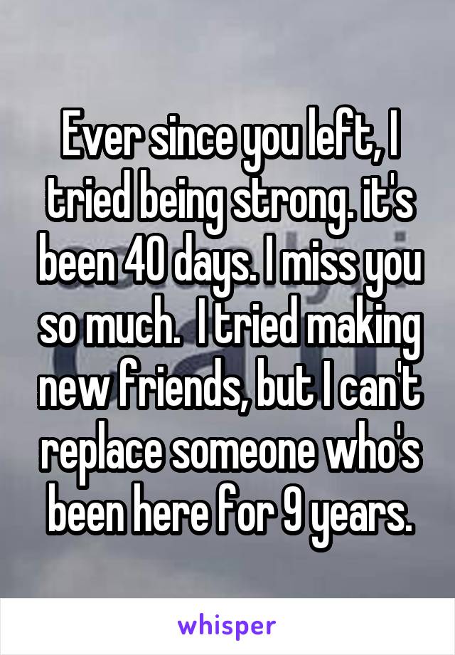 Ever since you left, I tried being strong. it's been 40 days. I miss you so much.  I tried making new friends, but I can't replace someone who's been here for 9 years.
