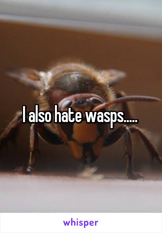 I also hate wasps..... 