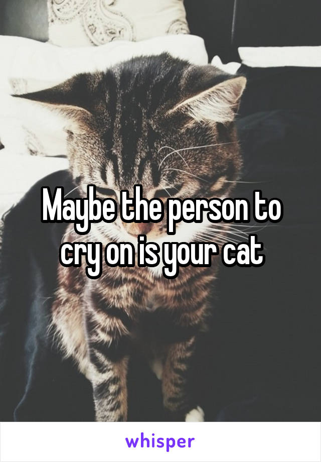 Maybe the person to cry on is your cat