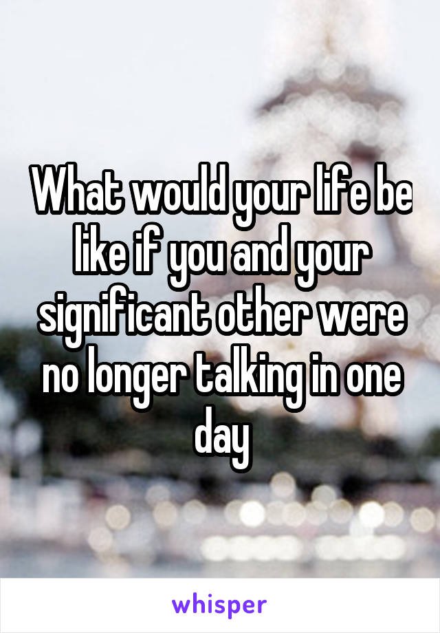 What would your life be like if you and your significant other were no longer talking in one day