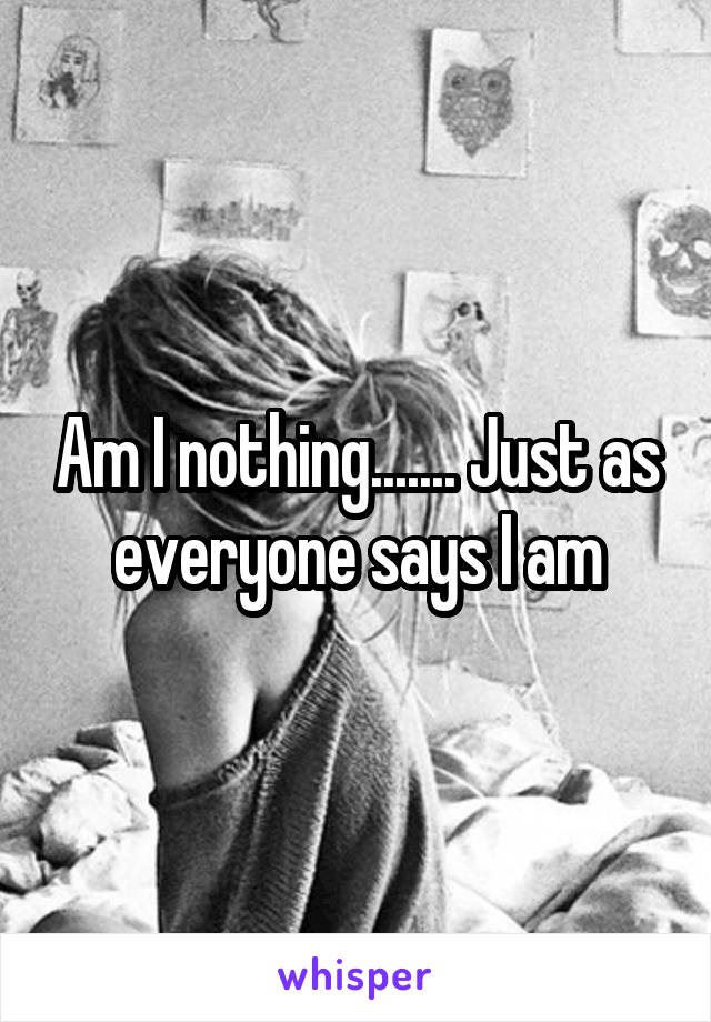 Am I nothing....... Just as everyone says I am