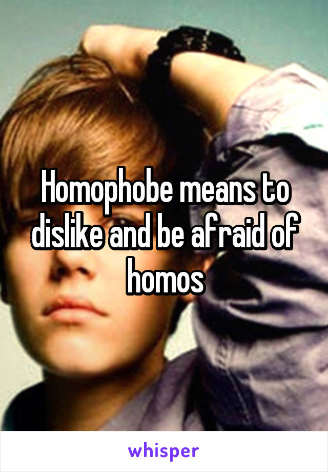 Homophobe means to dislike and be afraid of homos