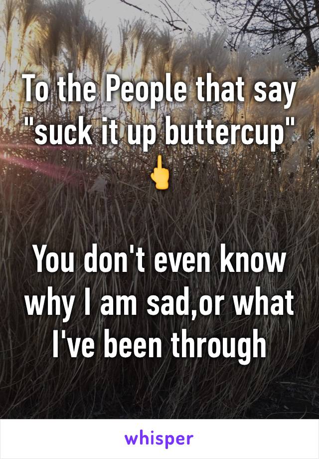 To the People that say "suck it up buttercup" 🖕

You don't even know why I am sad,or what I've been through 
