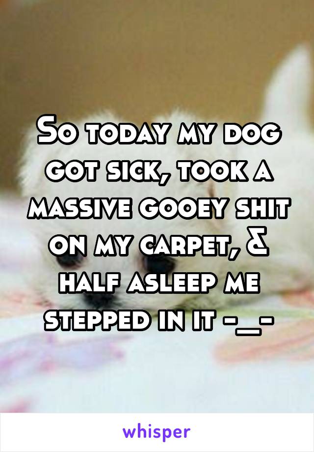 So today my dog got sick, took a massive gooey shit on my carpet, & half asleep me stepped in it -_-