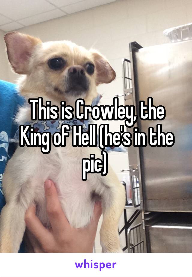 This is Crowley, the King of Hell (he's in the pic) 