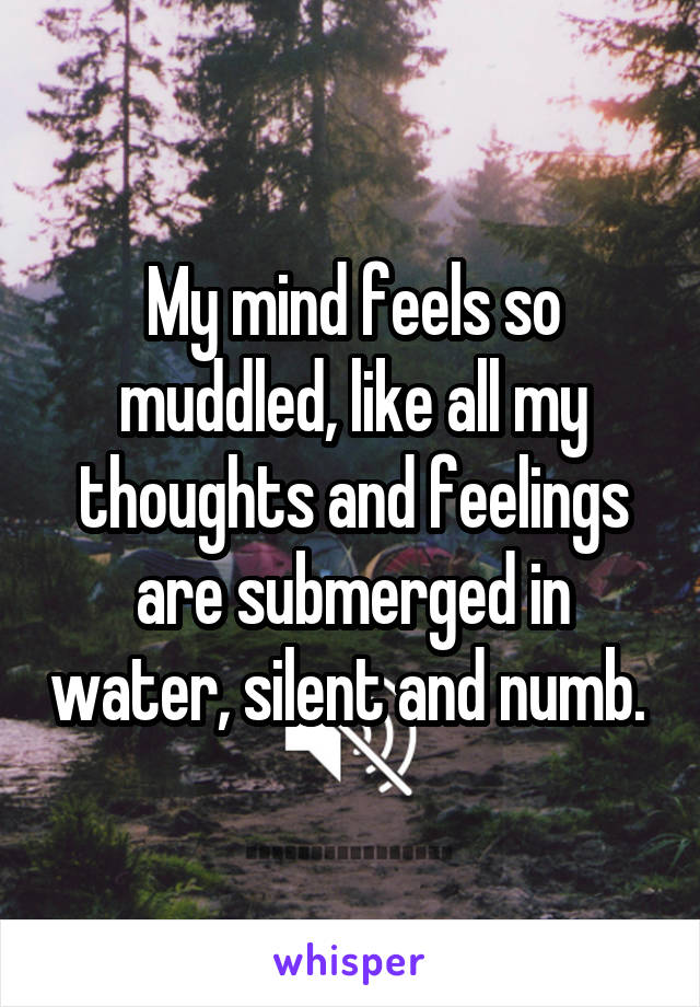 My mind feels so muddled, like all my thoughts and feelings are submerged in water, silent and numb. 
