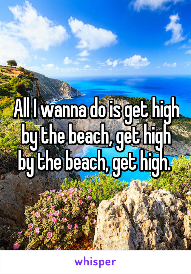 All I wanna do is get high by the beach, get high by the beach, get high. 