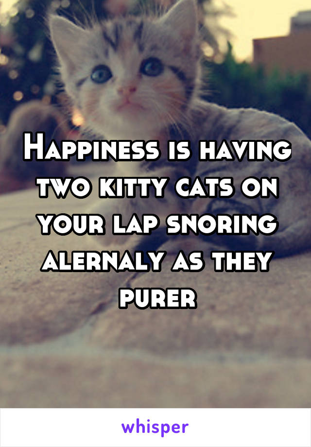 Happiness is having two kitty cats on your lap snoring alernaly as they purer