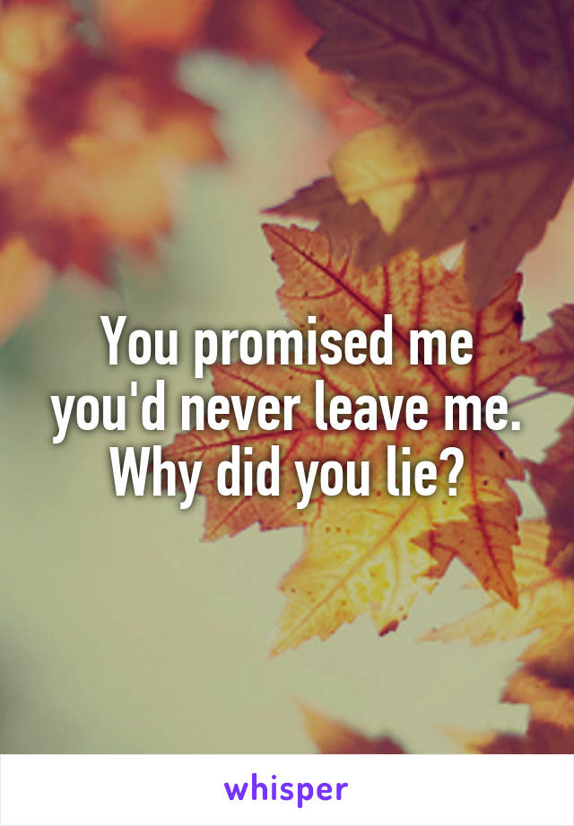 You promised me you'd never leave me. Why did you lie?