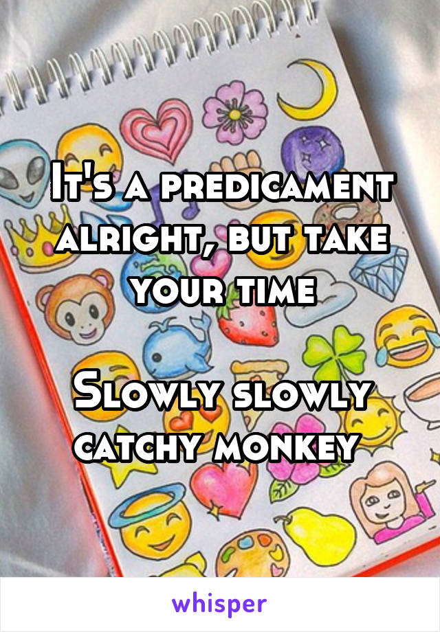 It's a predicament alright, but take your time

Slowly slowly catchy monkey 