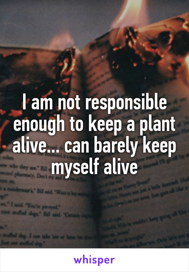 I am not responsible enough to keep a plant alive... can barely keep myself alive