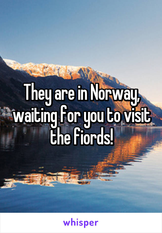 They are in Norway, waiting for you to visit the fiords!