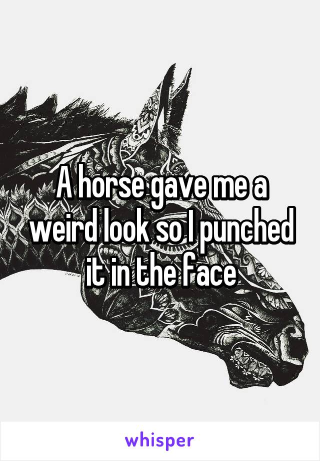 A horse gave me a weird look so I punched it in the face
