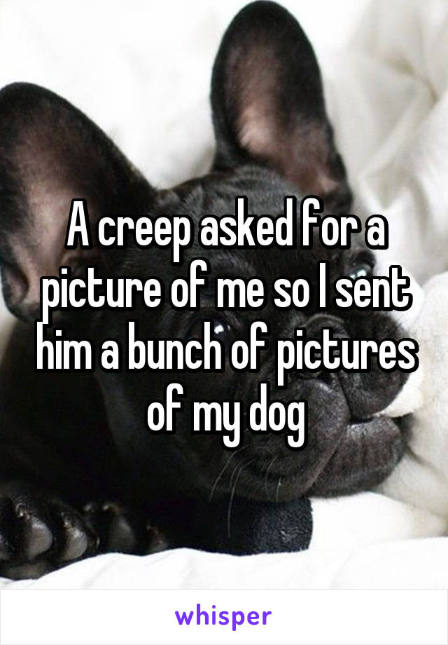 A creep asked for a picture of me so I sent him a bunch of pictures of my dog