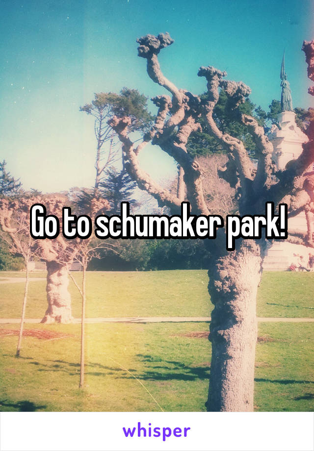 Go to schumaker park!