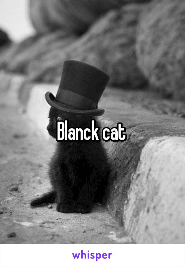 Blanck cat 