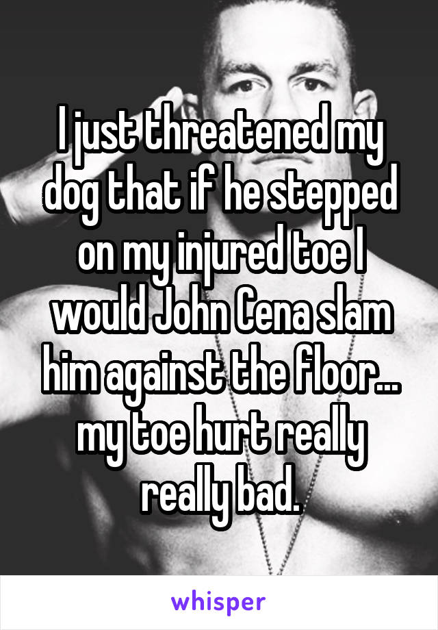 I just threatened my dog that if he stepped on my injured toe I would John Cena slam him against the floor... my toe hurt really really bad.