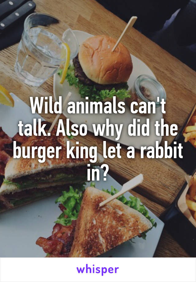 Wild animals can't talk. Also why did the burger king let a rabbit in?