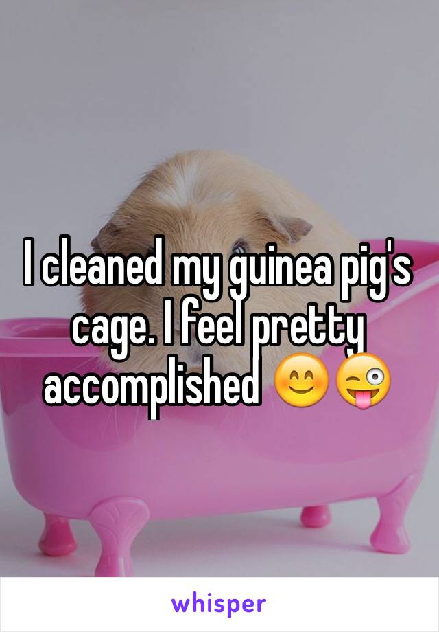 I cleaned my guinea pig's cage. I feel pretty accomplished 😊😜