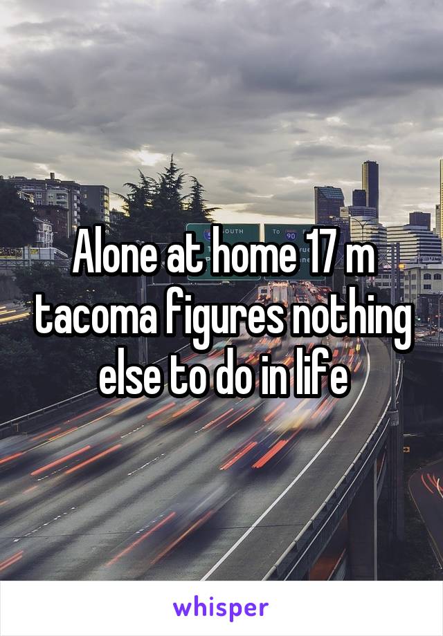 Alone at home 17 m tacoma figures nothing else to do in life