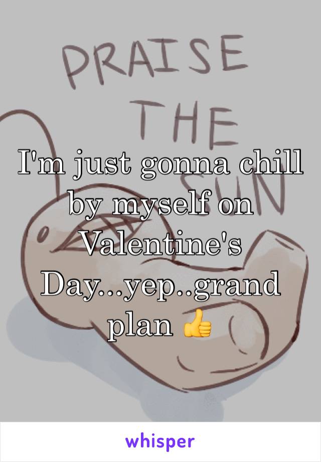I'm just gonna chill by myself on Valentine's Day...yep..grand plan 👍
