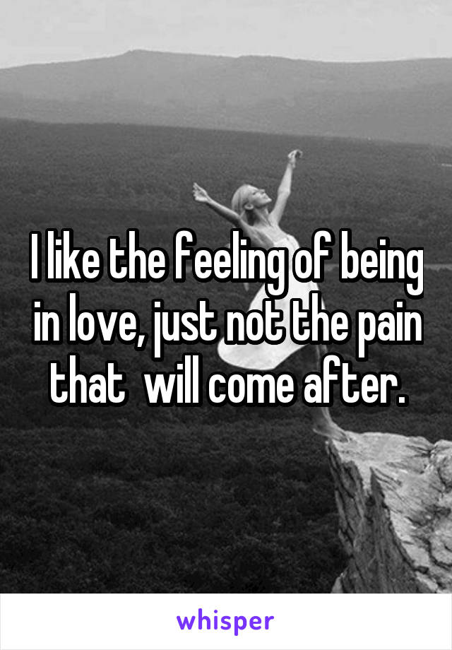 I like the feeling of being in love, just not the pain that  will come after.