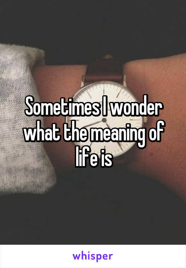 Sometimes I wonder what the meaning of life is