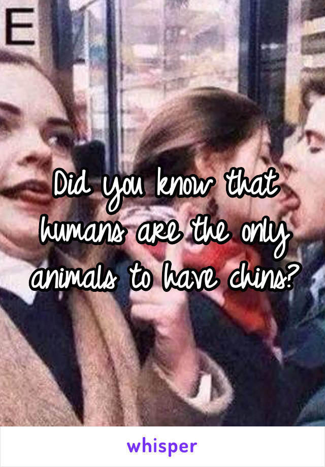 Did you know that humans are the only animals to have chins?